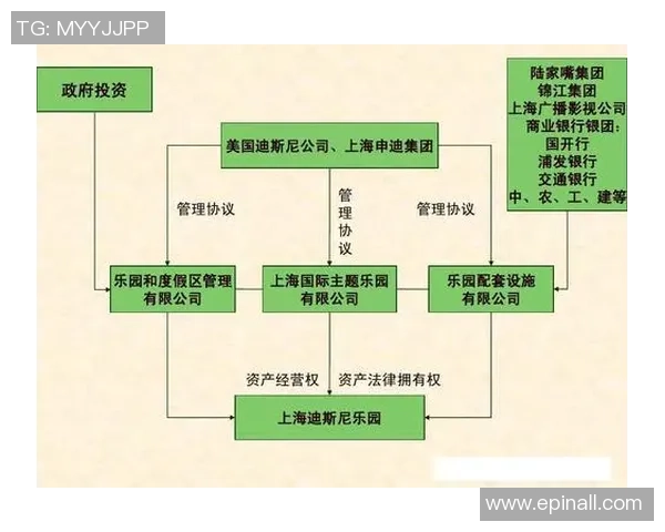 上海乒乓球队选拔赛表现分析与状态评估的全面解读