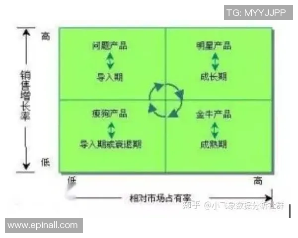 杭州排球队在杯赛中的团队协作表现分析与启示